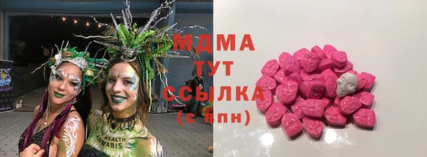 индика Абинск