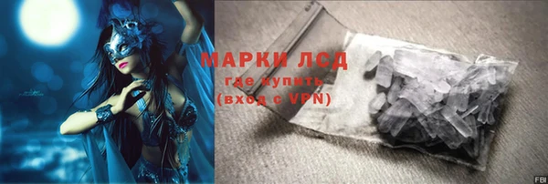 индика Абинск