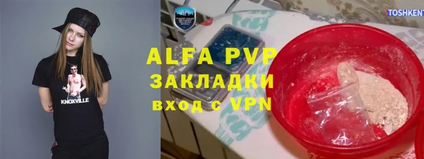 индика Абинск