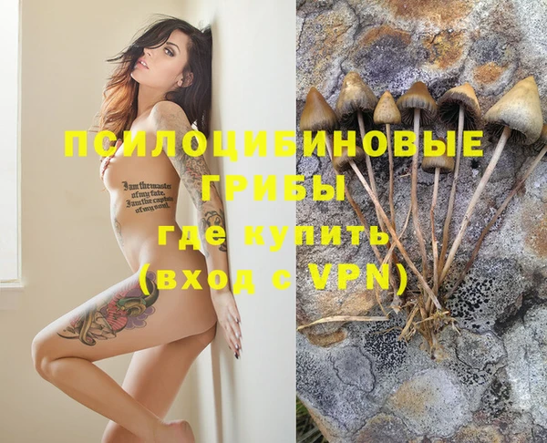 индика Абинск