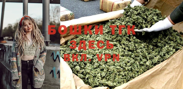 индика Абинск