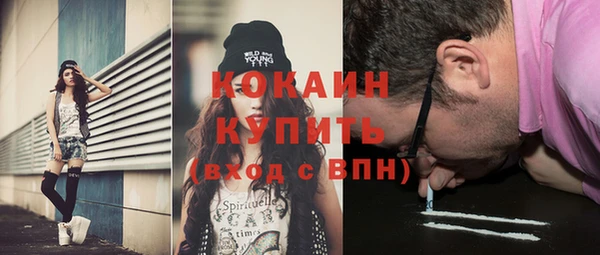 индика Абинск