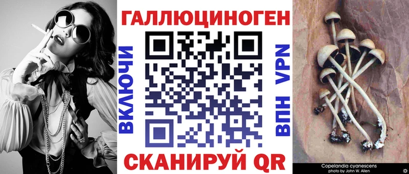 закладки  Подпорожье  Псилоцибиновые грибы Magic Shrooms 